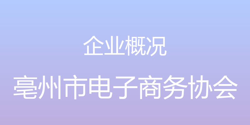 企业概况 - 亳州市电子商务协会